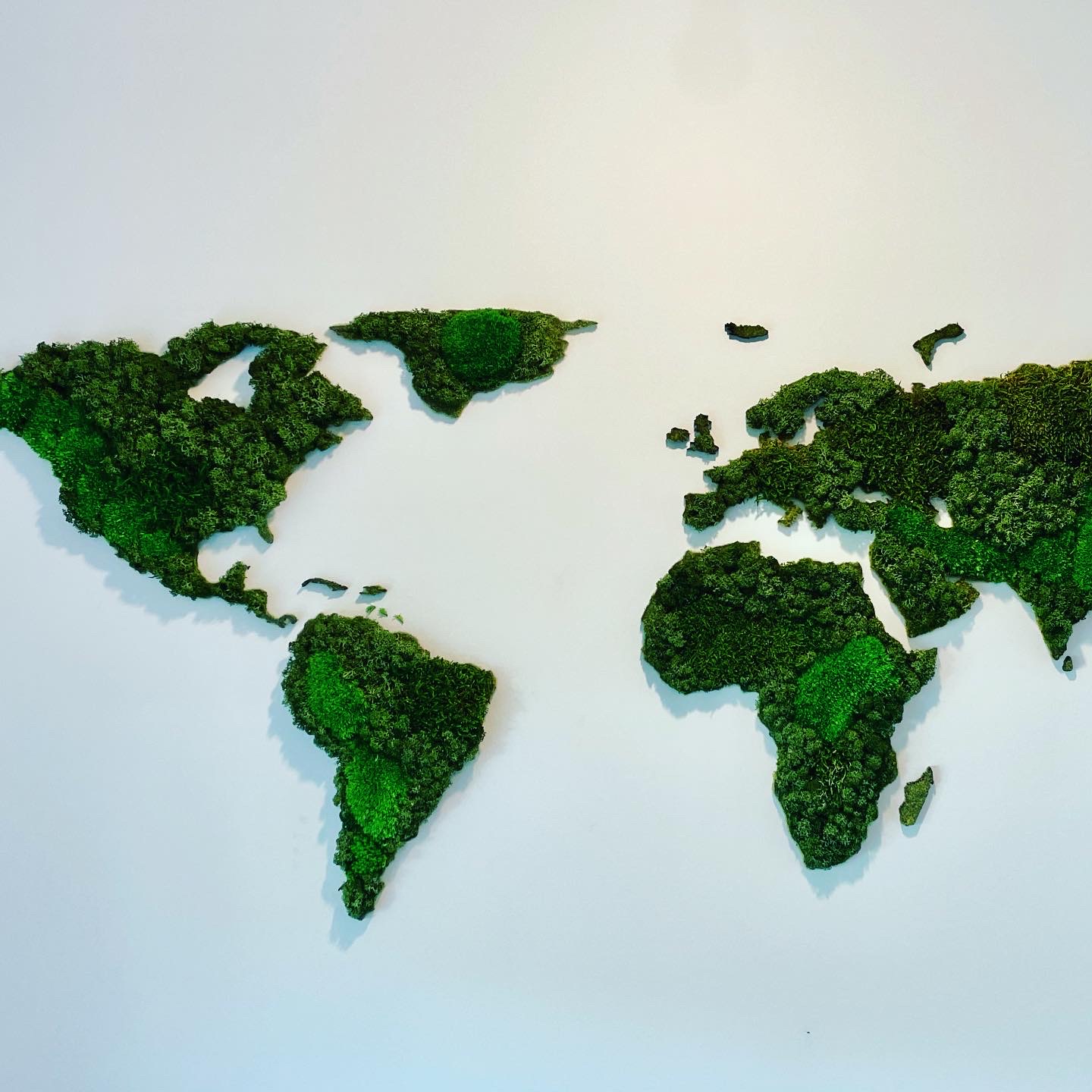 moswall - moswand - groenwand - modern moss - moskader - mosportret