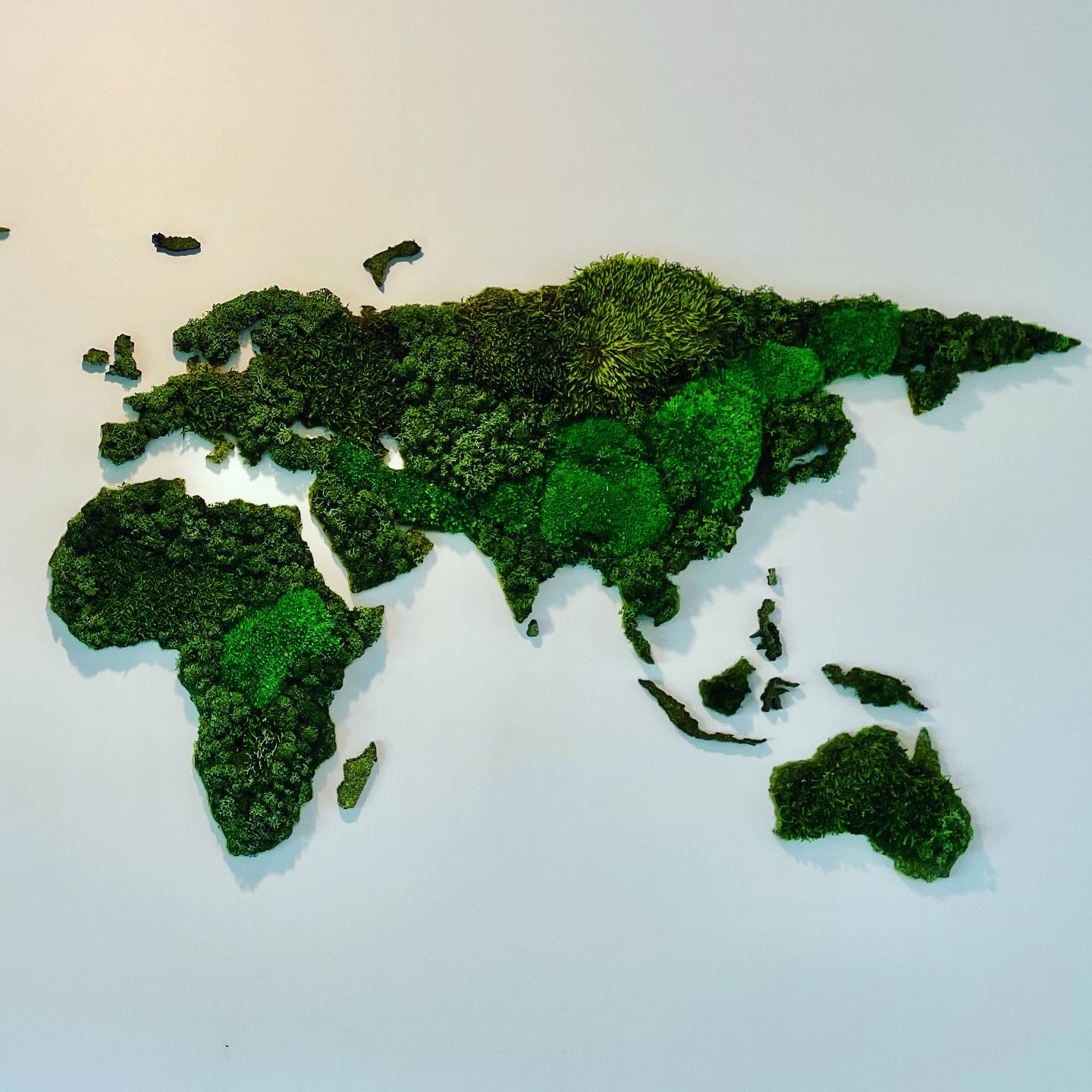 moswall - moswand - groenwand - wereldkaart mos moskader - mosportret