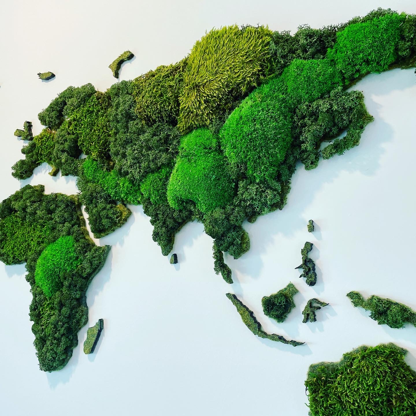moswall - moswand - groenwand - wereldkaart mos moskader - mosportret